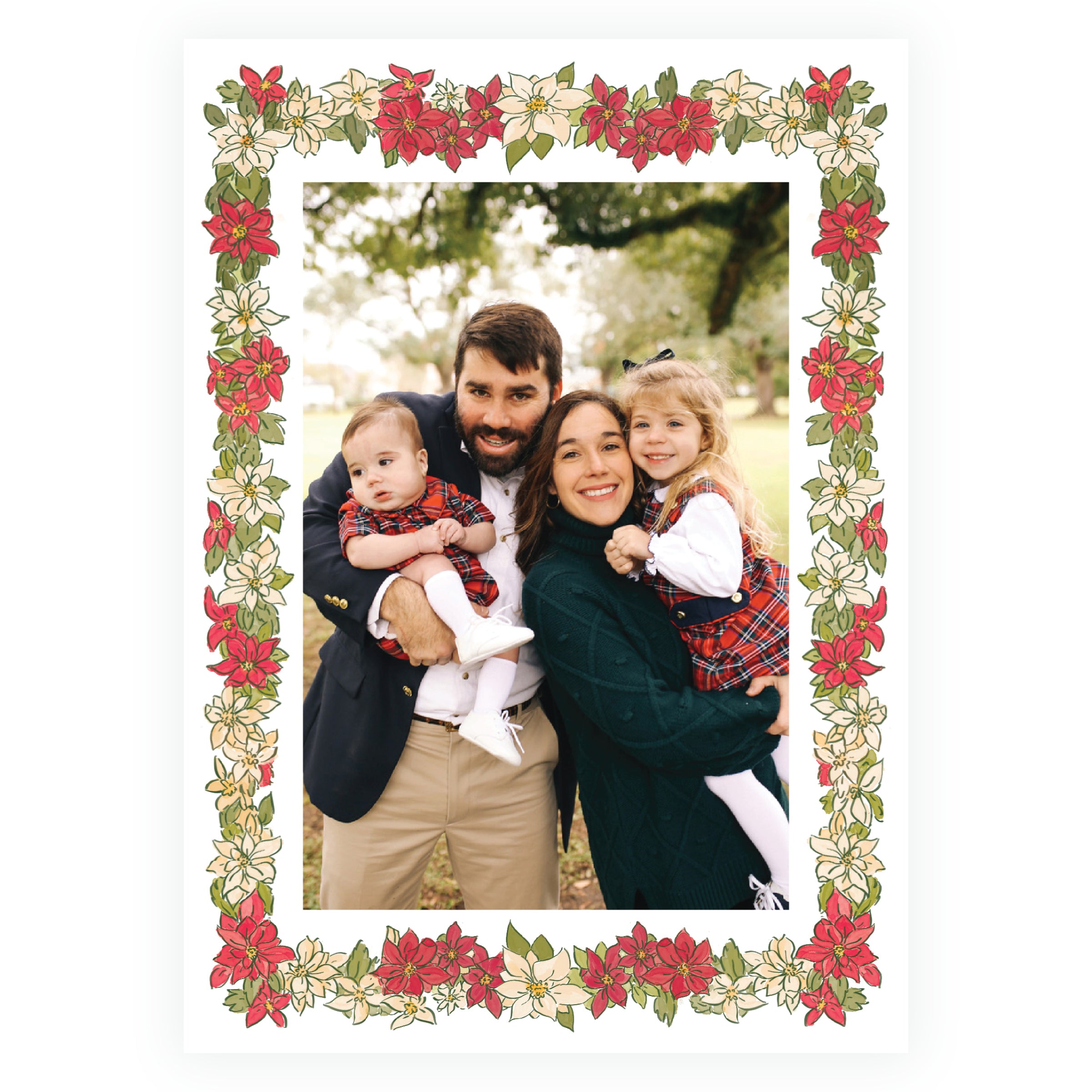 Poinsettia