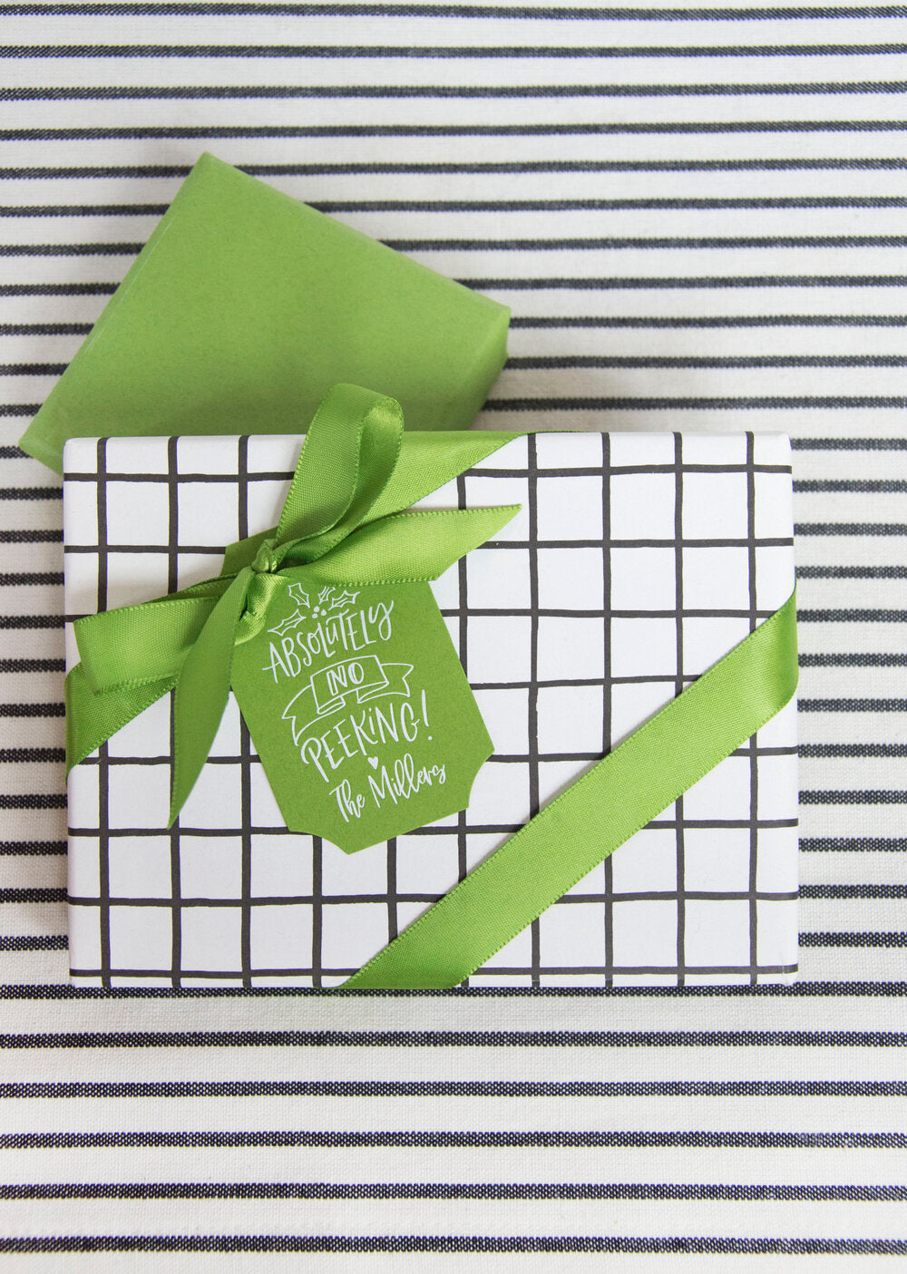 Absolutely No Peeking Gift Tag T414
