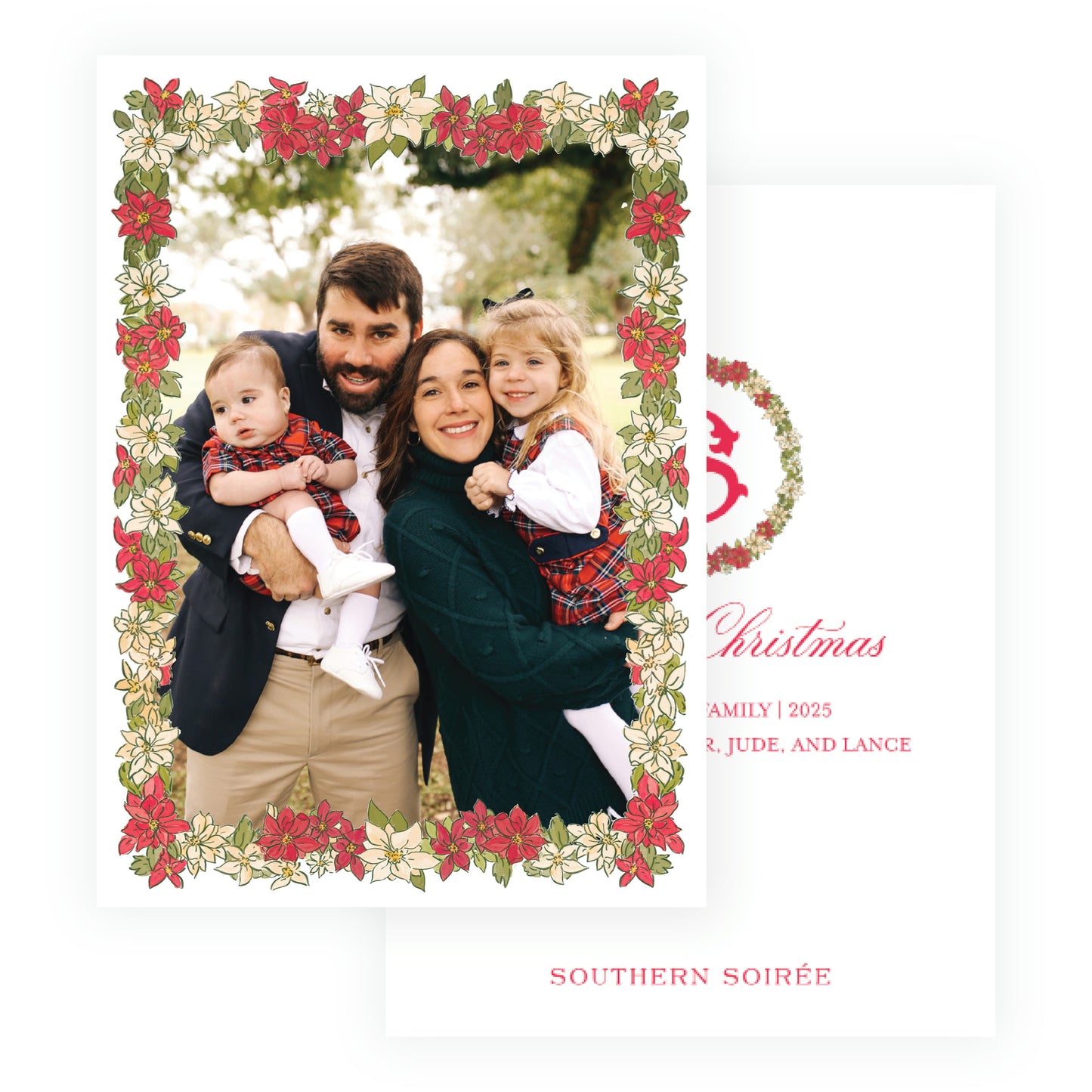 Poinsettia Full Frame