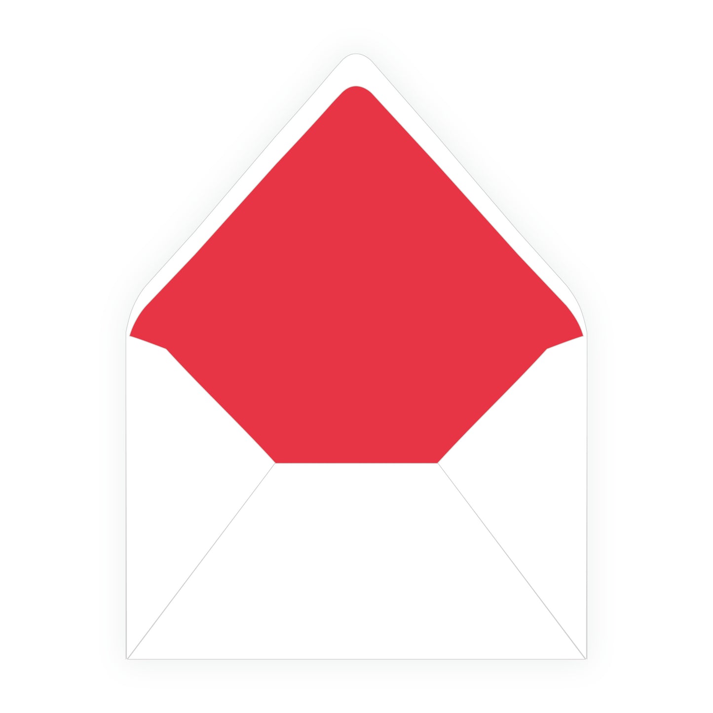 Wrapped In Lights Swag