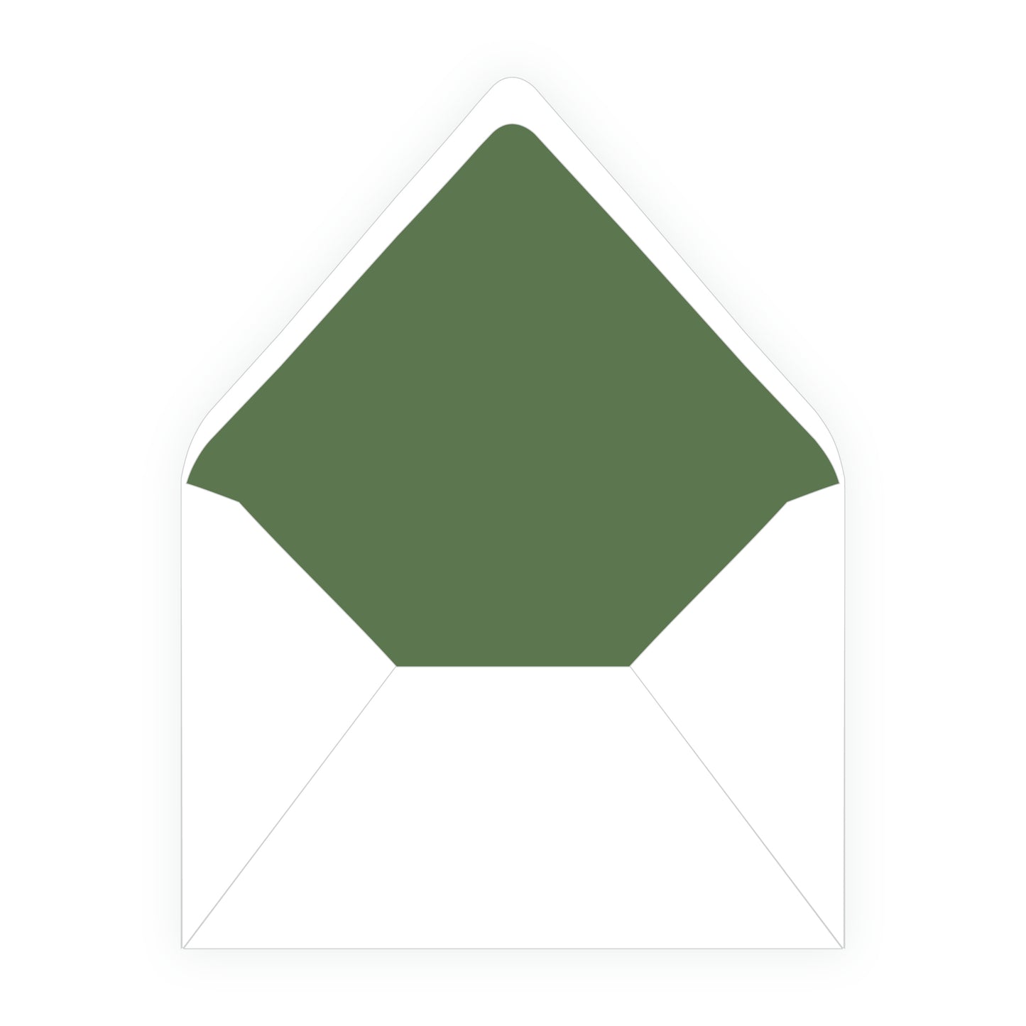 Holly Leaves Full Frame