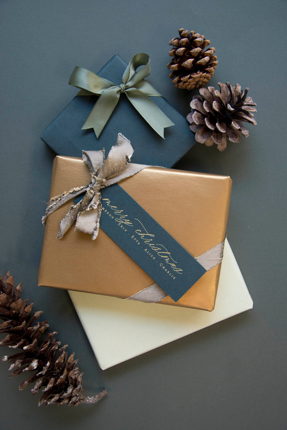 Merry Christmas Landscape Skinny Gift Tag  T347