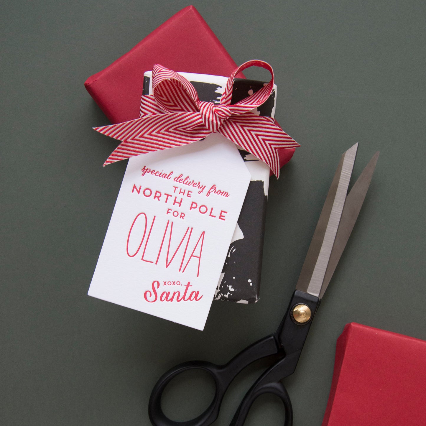 Special Delivery From The North pole Gift Tag T68