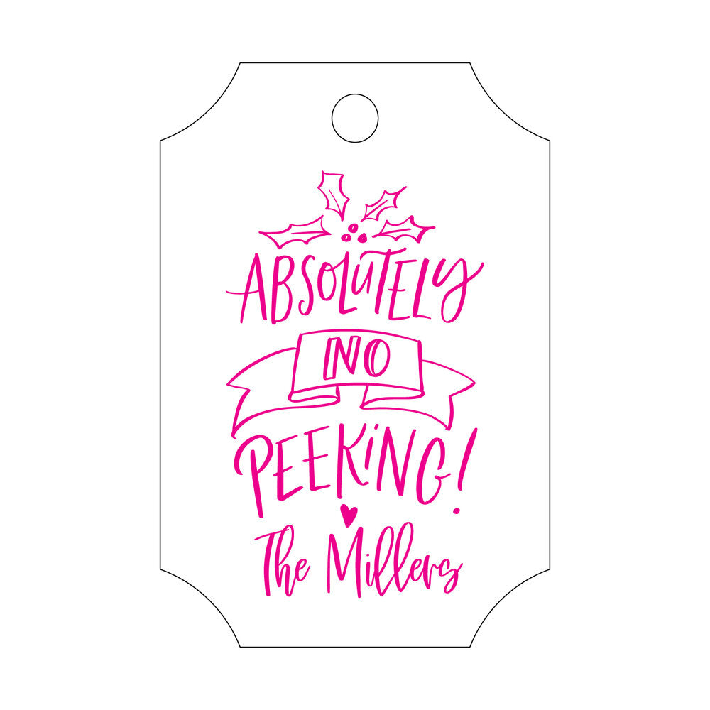 Absolutely No Peeking Gift Tag T414