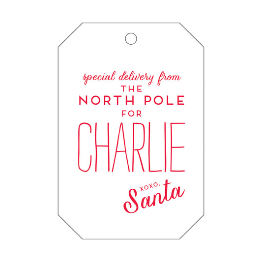 Special Delivery From The North pole Gift Tag T68