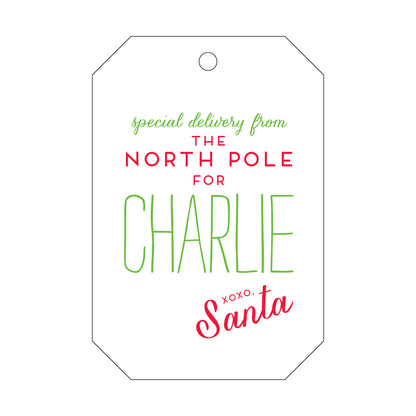 Special Delivery From The North pole Gift Tag T68