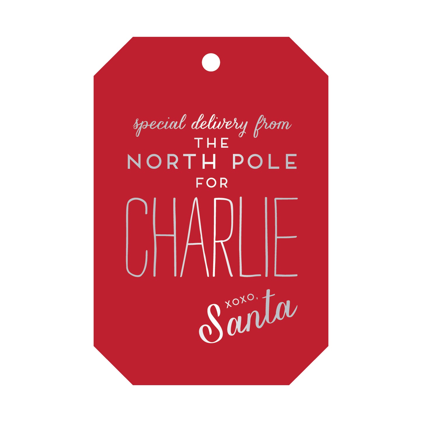 Special Delivery From The North pole Gift Tag T68